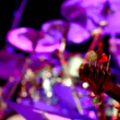 24. Nemzetközi Dobos-és Ütős Gála