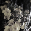 ,,Tudom e mérni a mérhetetlent’’