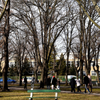 Városi Téli Sportnap