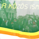 Karácsonyfa díszítő verseny