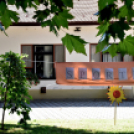 Sportnap az idősek otthonában