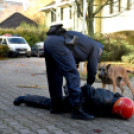 Nyílt Nap a Ceglédi Rendőrkapitányságon