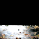 Ősz a Gubody parkban