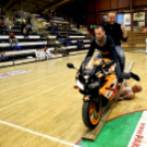 Jótékonysági gála