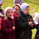 Márton napi felvonulás