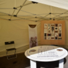 Régi Idők Piacztere az Eötvös téren