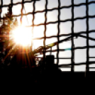 Városi Strandfürdő – Betonozás