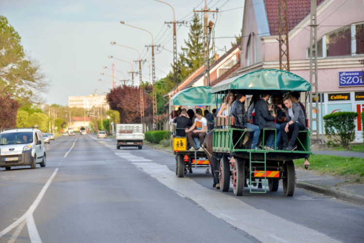 Szerenádoztak a gimisek