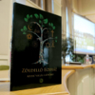 Könyvbemutató: Zöldellő egyház