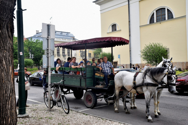 XIII. Nyitott Pince Nap