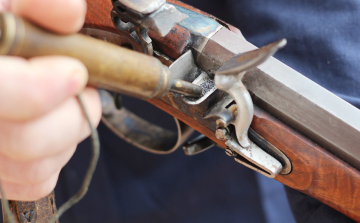 Hasba lőttek egy nőt a Putri-sarki erdőben