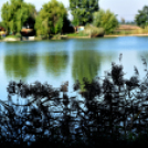 Éhmann Ferenc Horgászverseny