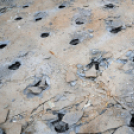 Városi Strandfürdő – Bontás I.