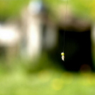 Éhmann Ferenc Emlék Kupa