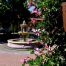 Csemőben is járt a nemzetközi zsűri