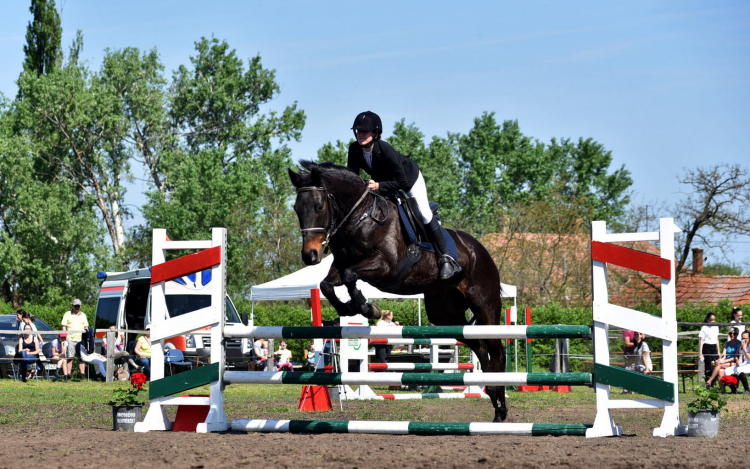 MLSZ Regionális díjugrató és szabadidős lovasverseny a Füle tanyán