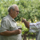 Városi Nyitott Pince Napok 2013