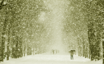 Sárga hó eshet holnap