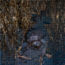 ,,Tudom e mérni a mérhetetlent’’