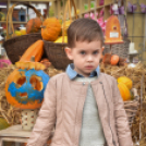 Családi tökfaragás az Oázis Kertészetben