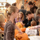 Családi tökfaragás - Oázis Kertészeti Áruház