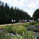 Csemőben is járt a nemzetközi zsűri