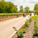 Nyitott Pince Napok - Kökény és Fia Családi Borászat