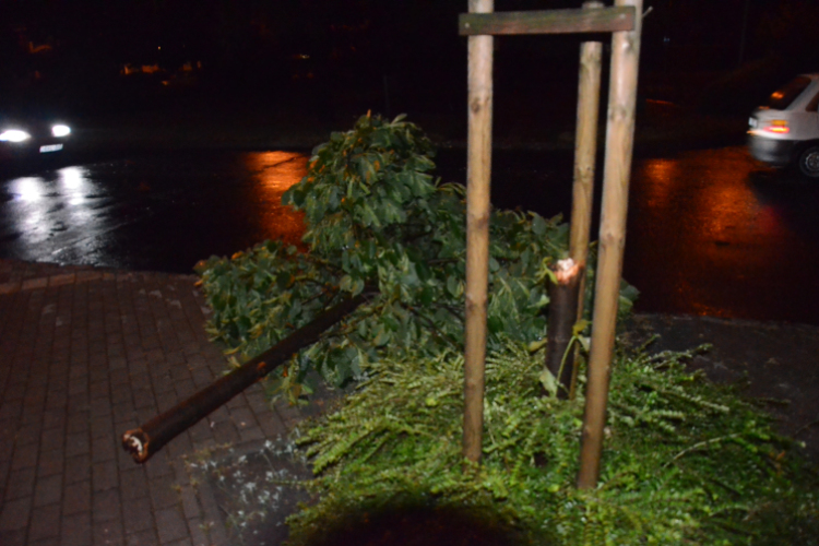 Viharkárok a Ceglédi térségben 