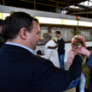 Városi nőnap - fotó: Kisfaludi István