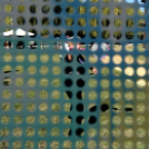 Több száz résztvevő a Városi Sportnapon