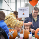 Családi tökfaragás az Oázis Kertészetben