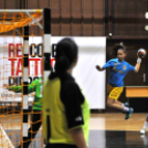 Ceglédi Kék Cápák – Danuke 22 – 31 ( 10 – 13 )