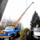 Megérkezett a város karácsonyfája