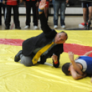 Ceglédi Birkózó OB