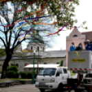 A város májusfája