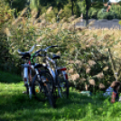 Éhmann Ferenc Horgászverseny