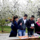 Katasztrófavédelmi ifjúsági verseny