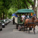 Lovasfelvonulás a belvárosban