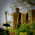 ,,Tudom e mérni a mérhetetlent’’