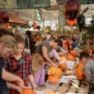 Családi tökfaragás - Oázis Kertészeti Áruház