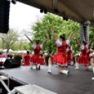 Pest megyei Rendőr- és Tűzoltónap