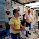 Utazó kiállítás járt Cegléden