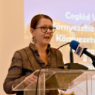 Legszebb rajzok - legszebb kertek