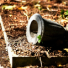 Gyászistentisztelet a temetőben