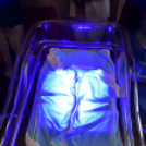 Adomány a Toldy Ferenc Kórháznak