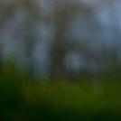 MAFOSZ kiállítás képei