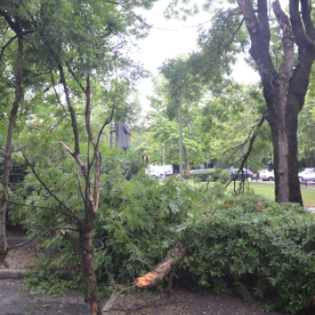 Viharkárok a Ceglédi térségben 