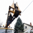 Megérkezett a város karácsonyfája