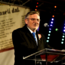 Fáklyás felvonulás