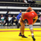 NB I-es birkózó csapatbajnokság -A- csoport